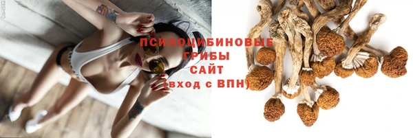 синтетический гашиш Орск