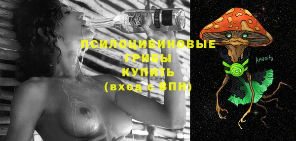 прущие грибы Аркадак